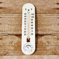Maintain the perfect environment for your friendly foliage by monitoring temperature and humidity levels with this convenient tool.