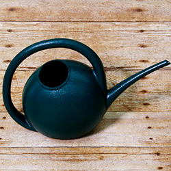 This easy to use plastic watering can holds up to 2 litres of water.